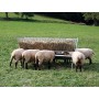 Voerruif voor het bijvoeren van geiten en schapen