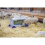 Hooiruif van Patura voor schaap en lam
